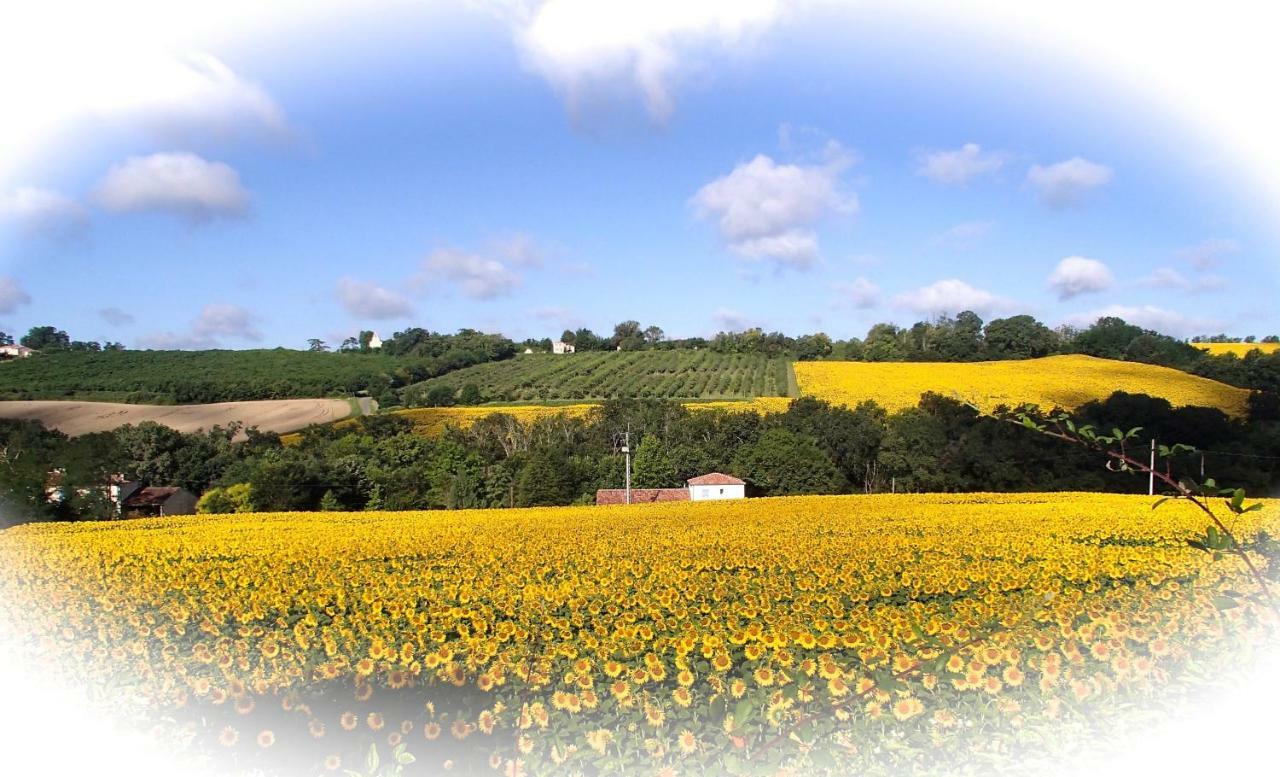 Gites Lencouet Feugarolles Exterior foto